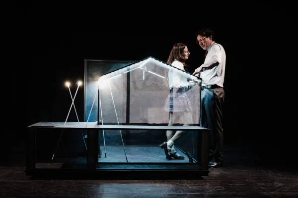 OLEANNA by David Mamet